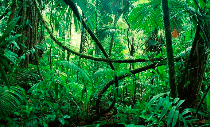 Type something here lorem 52