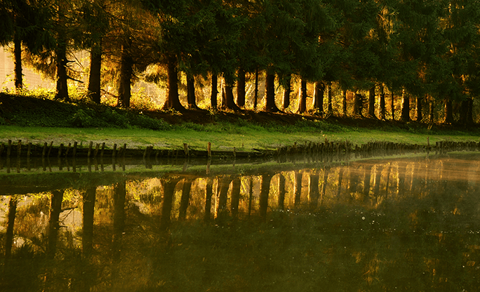 Type something here lorem 34